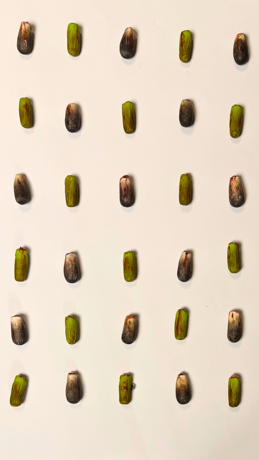 Miniature Egyptian Food Magnet set