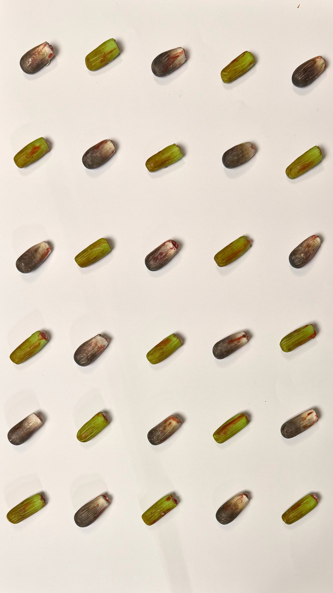 Miniature Egyptian Food Magnet set