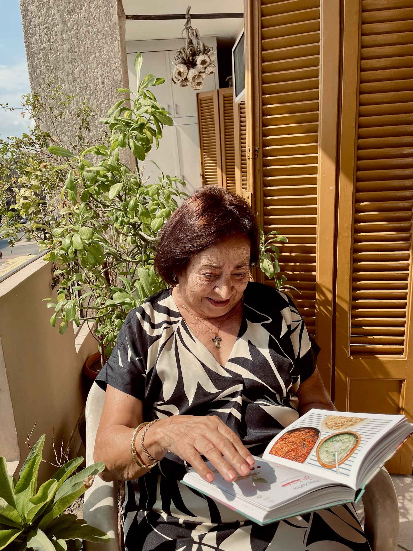 Teta Loula's Egyptian Kitchen - CookBook
