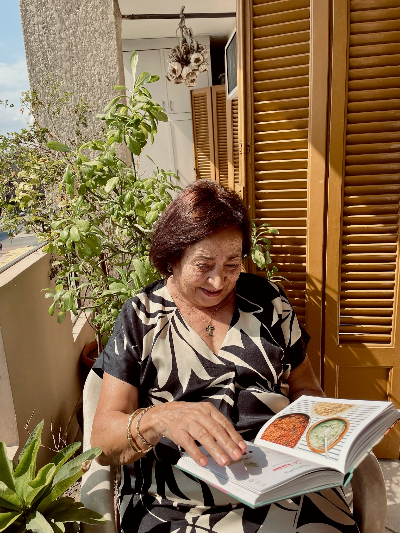 Teta Loula's Egyptian Kitchen - CookBook